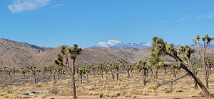 San Gorgonio Mountain with its snow-capped peaks.